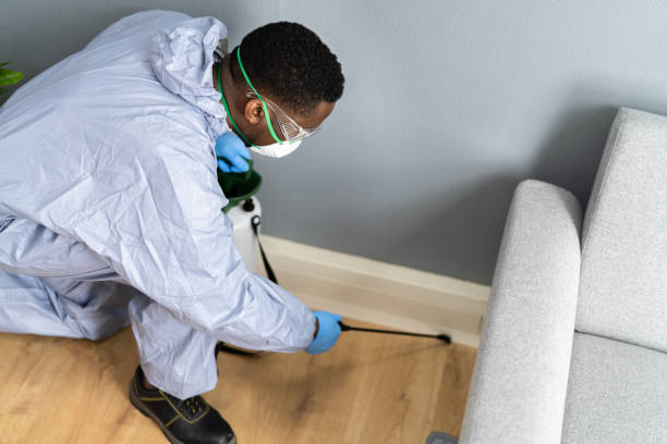 Best Fumigation Services  in Cayce, SC